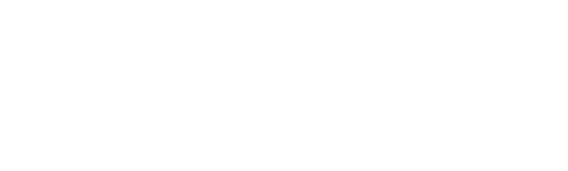 BISG